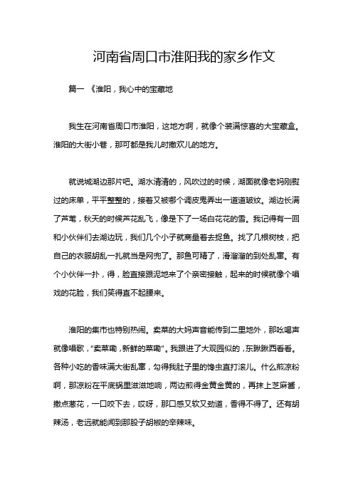 河南省周口市淮阳我的家乡作文