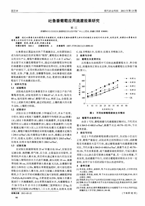 吐鲁番葡萄应用滴灌效果研究