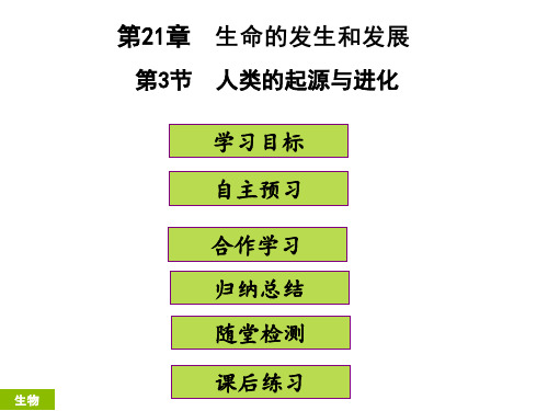 最新部编人教版八年级生物《人类的起源与进化》精品ppt课件