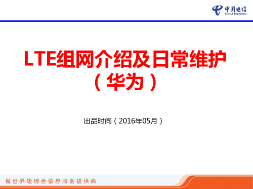 LTE组网介绍及日常维护(华为)  ppt课件
