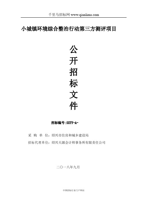 住房和城乡建设局(本级)小城镇环境综合整治行动第三方测评项目招投标书范本