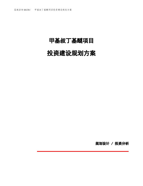 甲基叔丁基醚项目投资建设规划方案(模板)