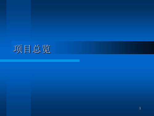 项目进展情况工作汇报ppt课件