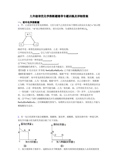 九年级培优化学推断题辅导专题训练及详细答案