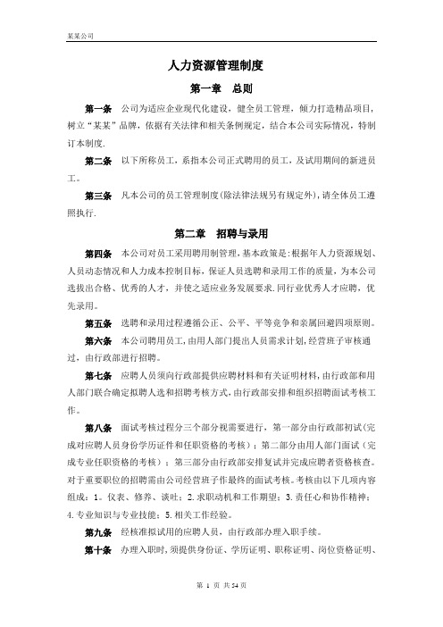 某某公司人力资源管理制度(修改版)