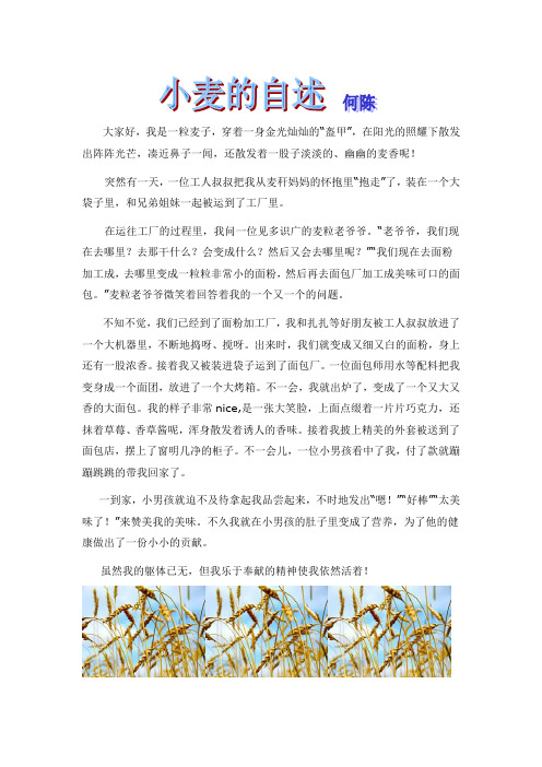 小麦的自述