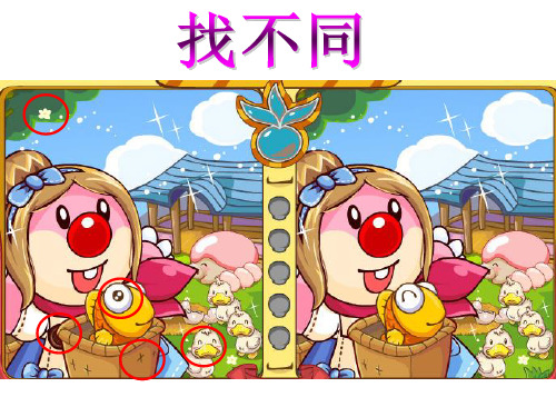 眼和视觉的形成