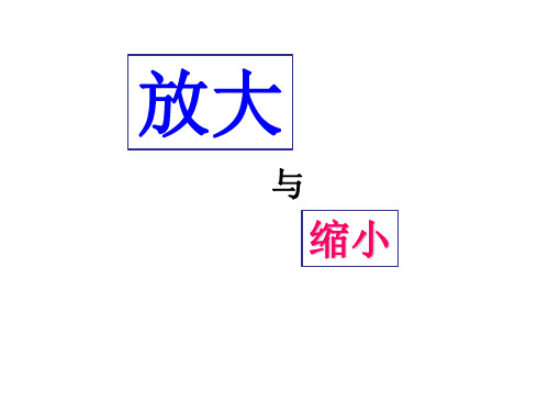 六年级上册数学课件-6.1  放大与缩小(6)