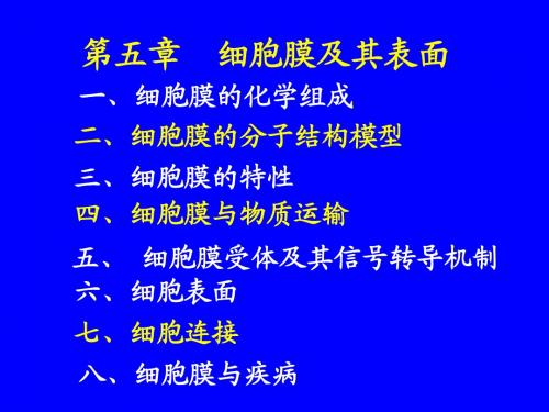 细胞膜的分子生物学ncx