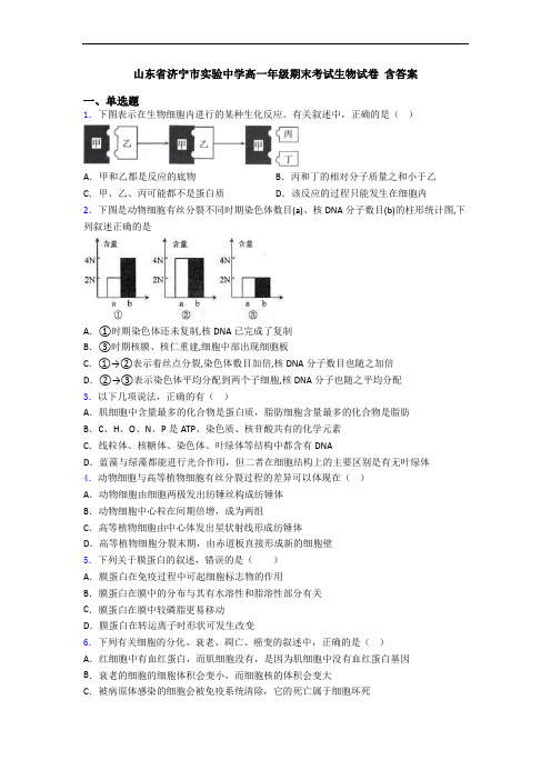 山东省济宁市实验中学高一年级期末考试生物试卷 含答案