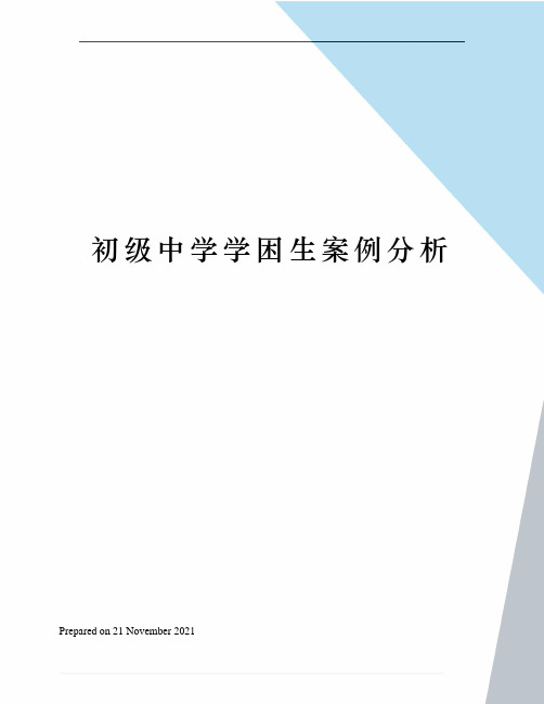 初级中学学困生案例分析