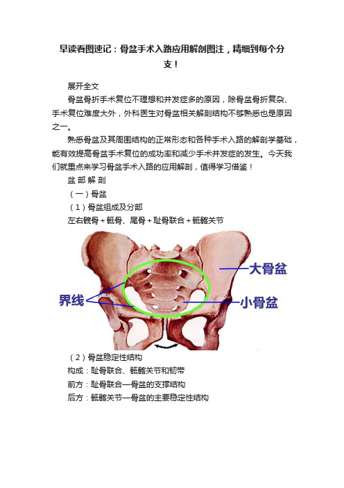 早读看图速记：骨盆手术入路应用解剖图注，精细到每个分支！