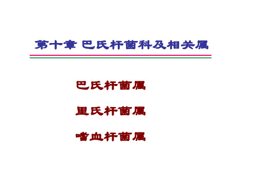 第10章 巴氏杆菌科及相关属