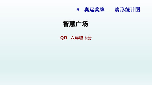 青岛版六年级数学下册 第5单元 智慧广场