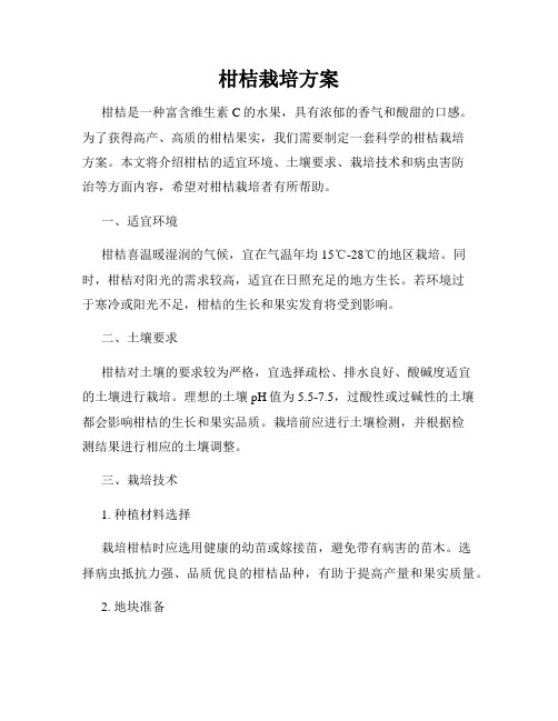 柑桔栽培方案