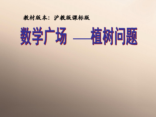 三年级上册数学课件-6.6 整理与提高(数学广场-植树问题)▏沪教版 (共21张PPT)优秀课件