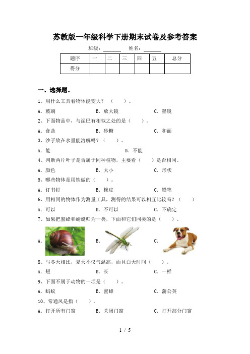 苏教版一年级科学下册期末试卷及参考答案