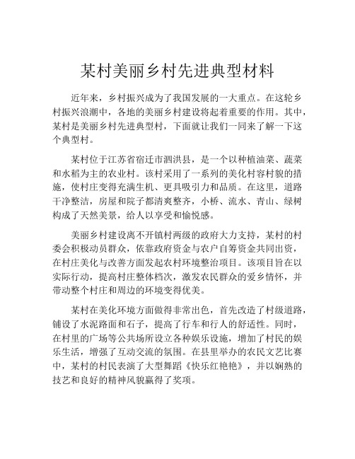 某村美丽乡村先进典型材料