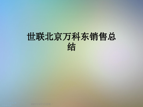 世联北京万科东销售总结