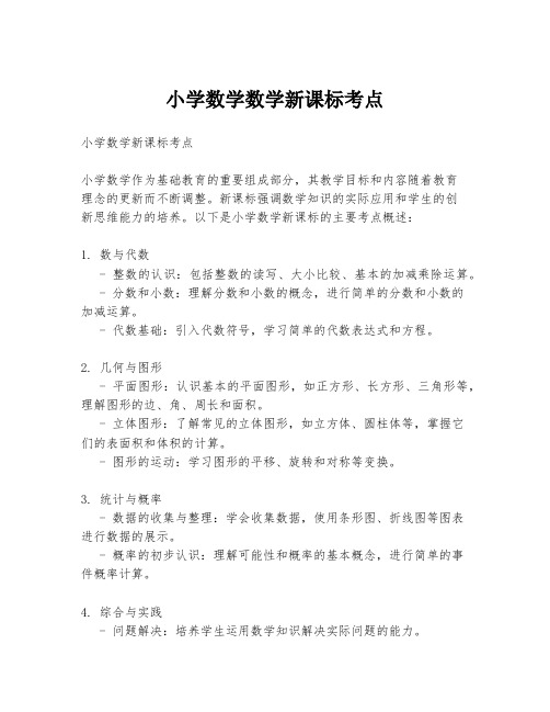 小学数学数学新课标考点