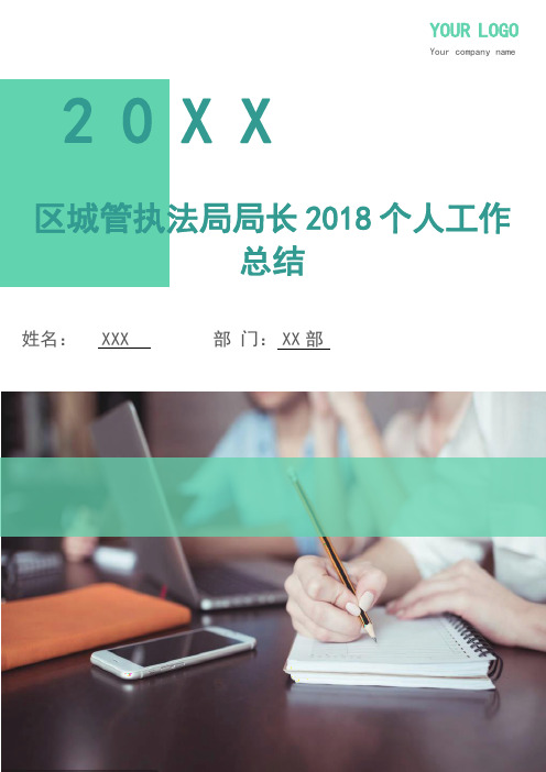 区城管执法局局长2018个人工作总结(多篇)