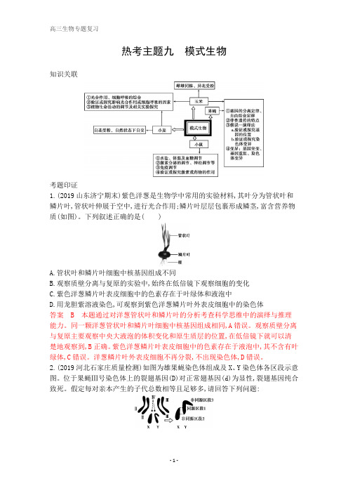 高考生物二轮习题：第二篇 热考主题夺分必破 热考主题九 模式生物 含解析