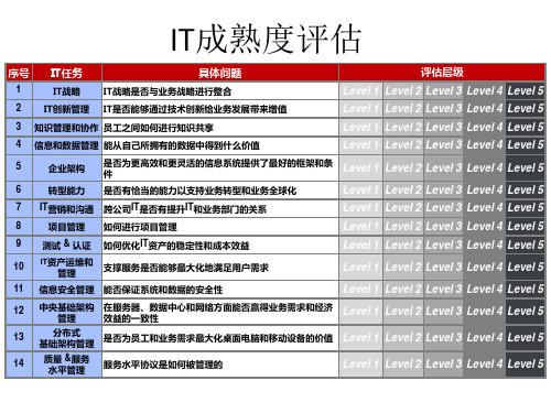 IT成熟度评估模型