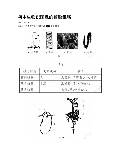 初中生物识图题的解题策略