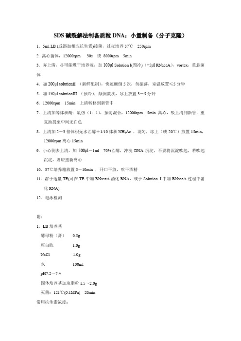 SDS碱裂解法制备质粒DNA