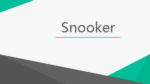 snooker斯诺克(中文)主题演讲