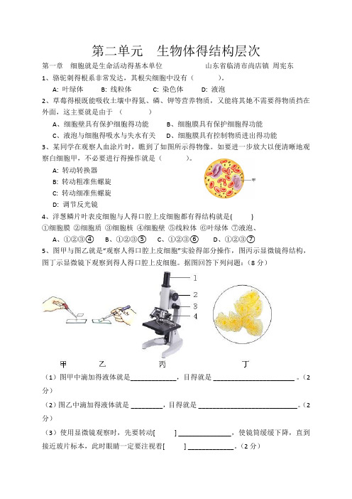 第二单元 生物体的结构层次 测试题