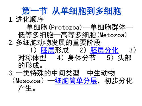 多细胞动物起源-1-幻灯片(1)