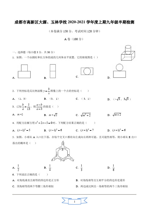 2020-2021 大源学校、玉林中学九上半期数学试卷