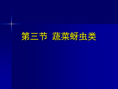 园艺昆虫学 第三节 蔬菜蚜虫类-2