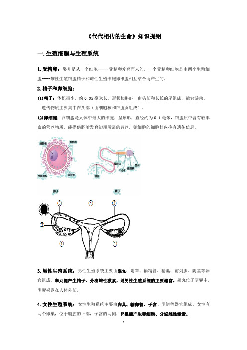 第1章 代代相传的生命 知识提纲(素材)