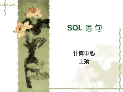 数据库原理及应用-(第12章 SQL语句)