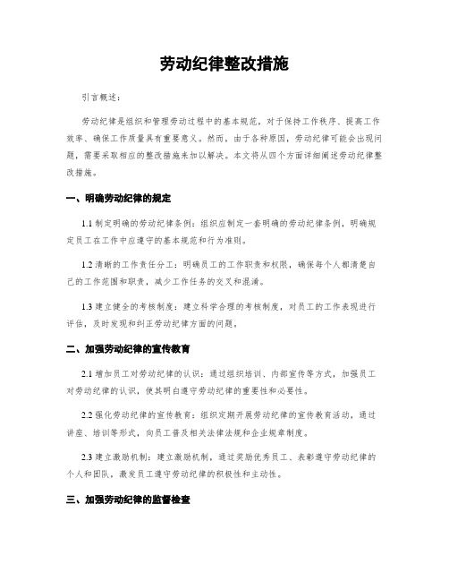 劳动纪律整改措施