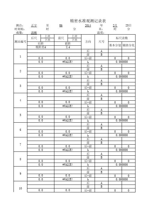 精密水准测量记录表 输入数据自动计算