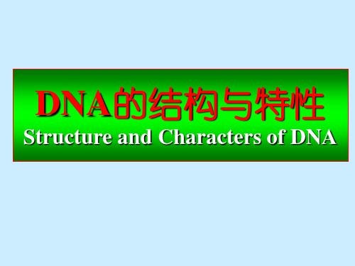 核酸化学2-DNA的结构和特性