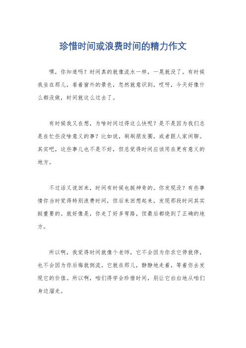 珍惜时间或浪费时间的精力作文