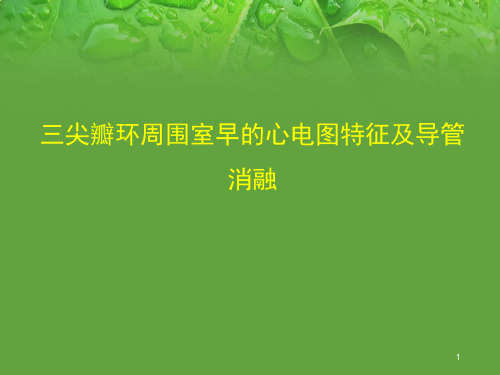 (优质课件)三尖瓣环室早心电图特征及导管消融