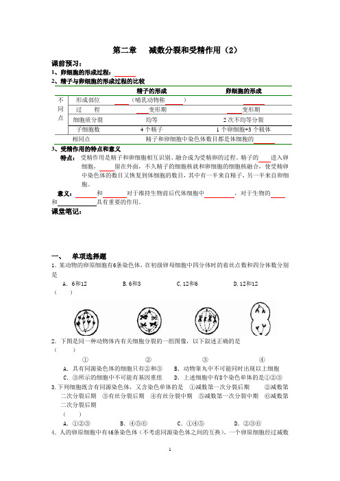 人教版高中生物必修2《减数分裂和受精作用》学案