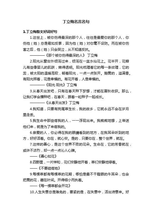 丁立梅名言名句