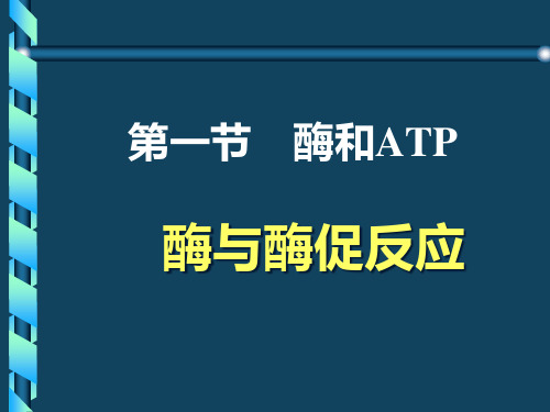 ATP和酶专题知识讲座