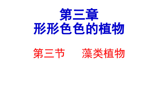 七年级生物上册藻类植物课件