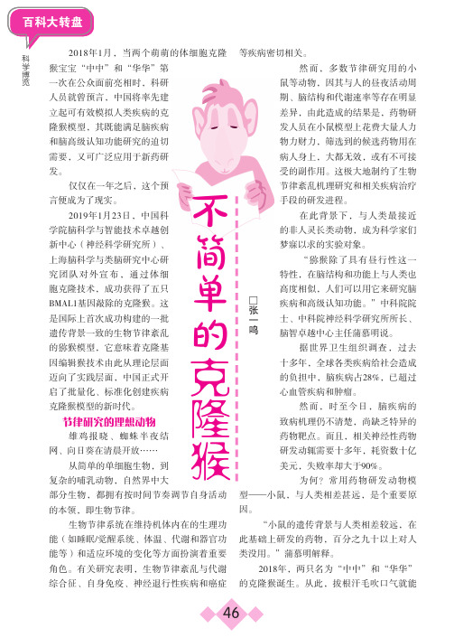 不简单的克隆猴