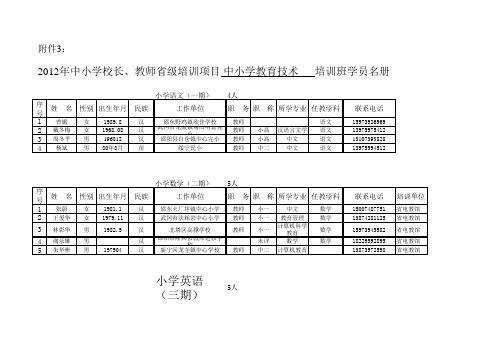 中小学骨干教师技术能力