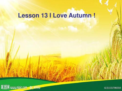 新 冀教版 英语 八 上 lesson13I love autumn