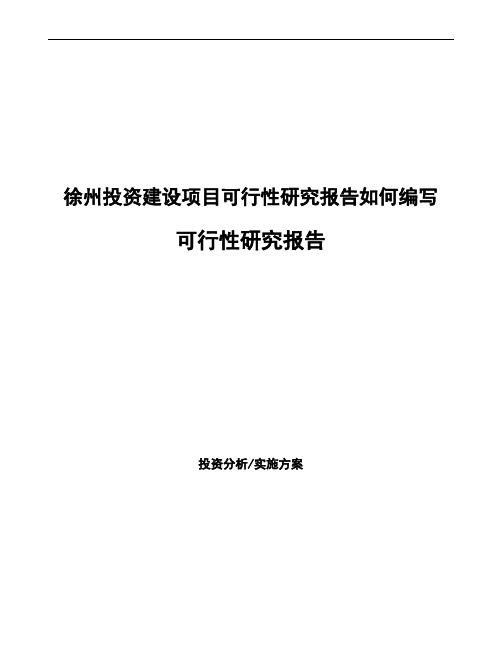 徐州项目可行性研究报告(项目申请模板)