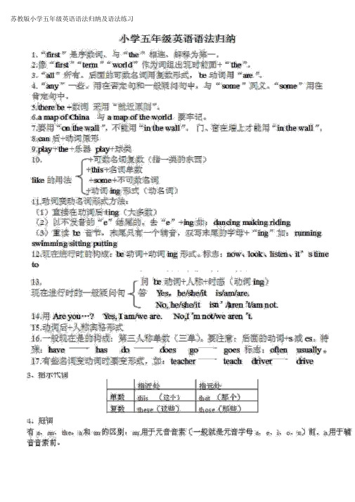 苏教版小学五年级英语语法归纳及语法练习